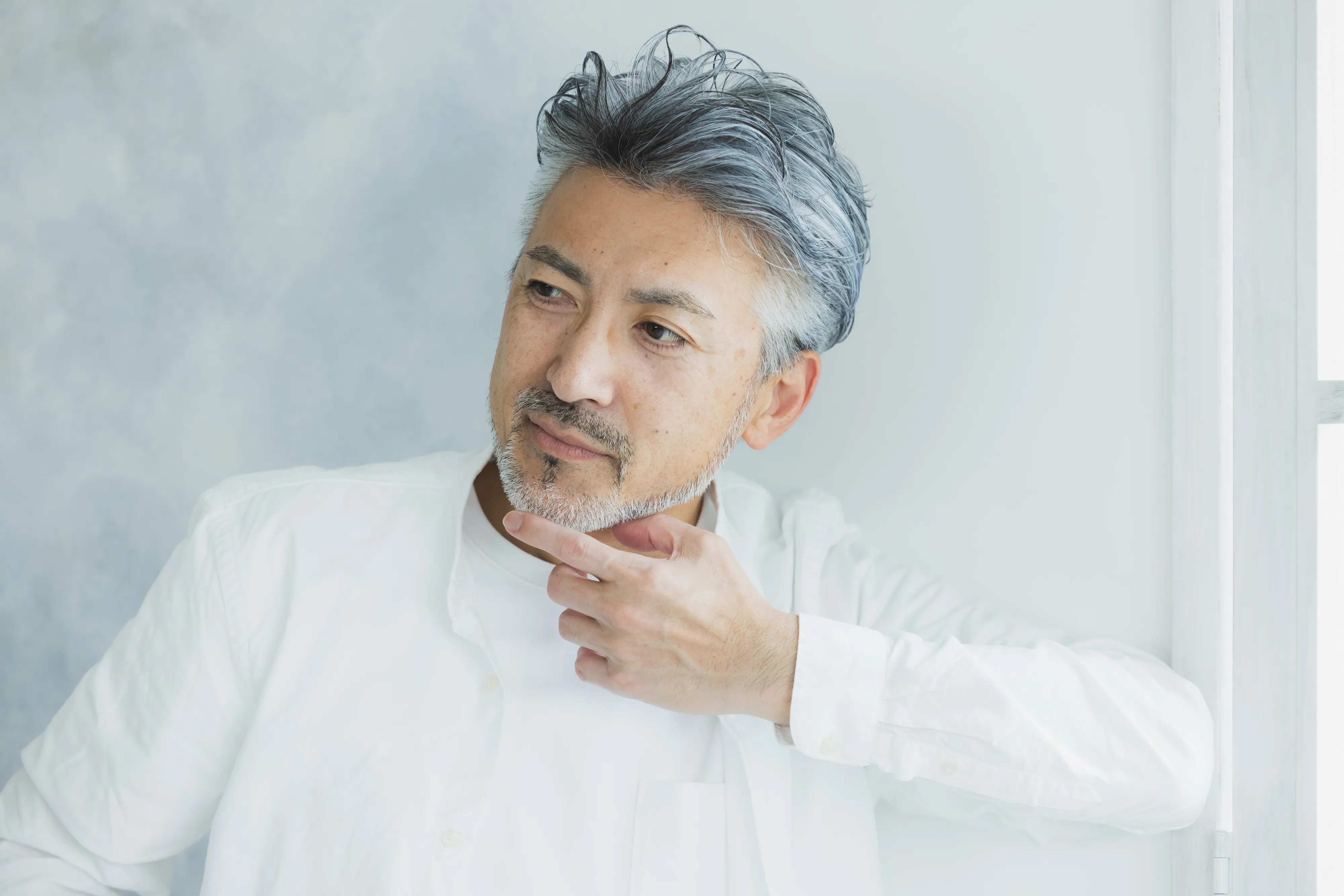 グレイヘアスタイル